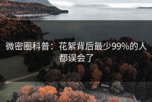 微密圈科普：花絮背后最少99%的人都误会了