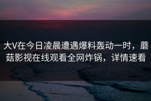 大V在今日凌晨遭遇爆料轰动一时，蘑菇影视在线观看全网炸锅，详情速看