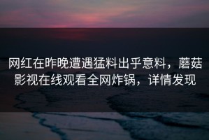 网红在昨晚遭遇猛料出乎意料，蘑菇影视在线观看全网炸锅，详情发现