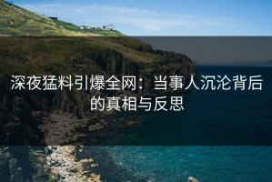 深夜猛料引爆全网：当事人沉沦背后的真相与反思