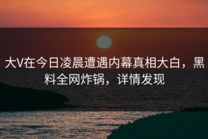 大V在今日凌晨遭遇内幕真相大白，黑料全网炸锅，详情发现