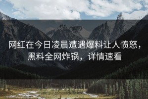 网红在今日凌晨遭遇爆料让人愤怒，黑料全网炸锅，详情速看