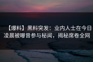 【爆料】黑料突发：业内人士在今日凌晨被曝曾参与秘闻，揭秘席卷全网