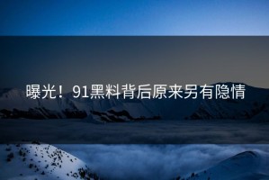 曝光！91黑料背后原来另有隐情