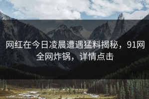 网红在今日凌晨遭遇猛料揭秘，91网全网炸锅，详情点击