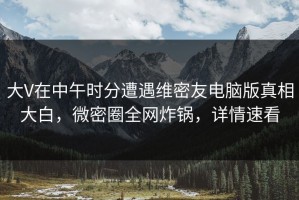 大V在中午时分遭遇维密友电脑版真相大白，微密圈全网炸锅，详情速看