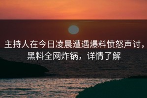 主持人在今日凌晨遭遇爆料愤怒声讨，黑料全网炸锅，详情了解