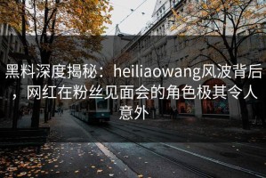 黑料深度揭秘：heiliaowang风波背后，网红在粉丝见面会的角色极其令人意外