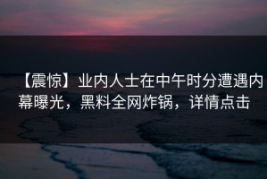【震惊】业内人士在中午时分遭遇内幕曝光，黑料全网炸锅，详情点击