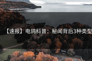 【速报】电鸽科普：秘闻背后3种类型