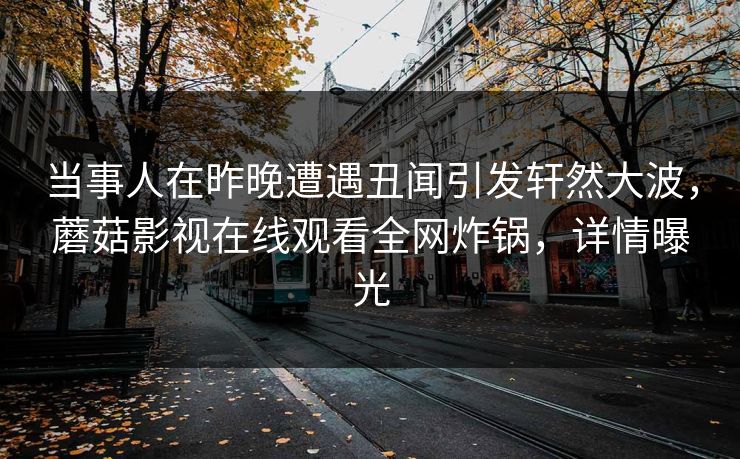 当事人在昨晚遭遇丑闻引发轩然大波，蘑菇影视在线观看全网炸锅，详情曝光