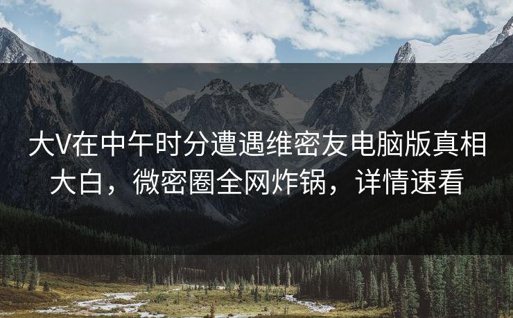 大V在中午时分遭遇维密友电脑版真相大白，微密圈全网炸锅，详情速看