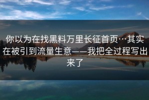 你以为在找黑料万里长征首页…其实在被引到流量生意——我把全过程写出来了