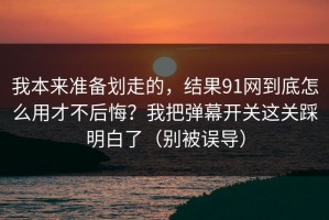 我本来准备划走的，结果91网到底怎么用才不后悔？我把弹幕开关这关踩明白了（别被误导）