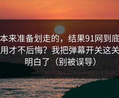 我本来准备划走的，结果91网到底怎么用才不后悔？我把弹幕开关这关踩明白了（别被误导）
