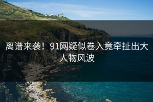 离谱来袭！91网疑似卷入竟牵扯出大人物风波