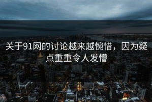 关于91网的讨论越来越惋惜，因为疑点重重令人发懵