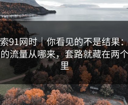 搜索91网时｜你看见的不是结果：是它的流量从哪来，套路就藏在两个字里