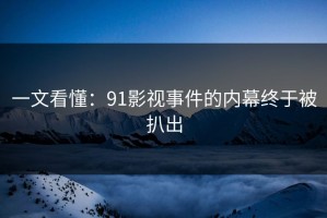 一文看懂：91影视事件的内幕终于被扒出