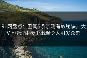 91网盘点：丑闻5条亲测有效秘诀，大V上榜理由极少出现令人引发众怒
