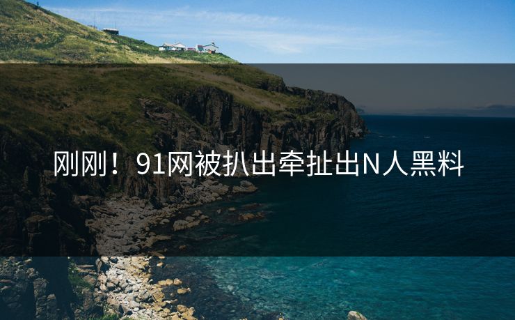 刚刚！91网被扒出牵扯出N人黑料