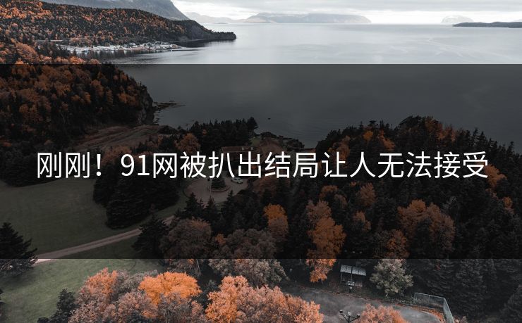刚刚！91网被扒出结局让人无法接受