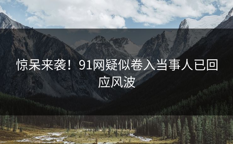 惊呆来袭！91网疑似卷入当事人已回应风波