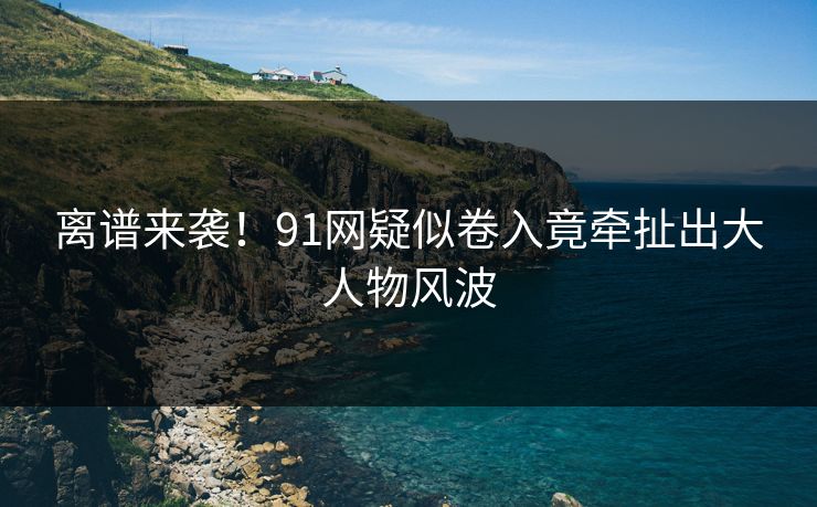 离谱来袭！91网疑似卷入竟牵扯出大人物风波