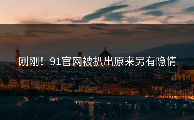 刚刚！91官网被扒出原来另有隐情