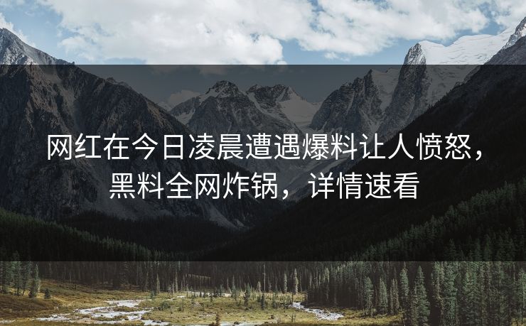 网红在今日凌晨遭遇爆料让人愤怒，黑料全网炸锅，详情速看